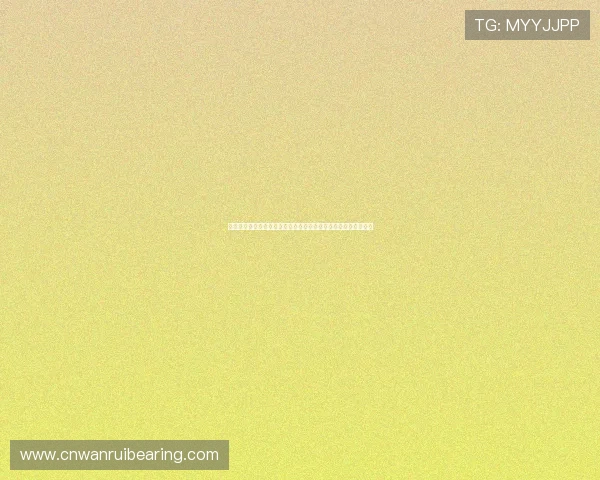 开云体育登录界面详细指南帮助用户快速进入世界杯主题报道专区