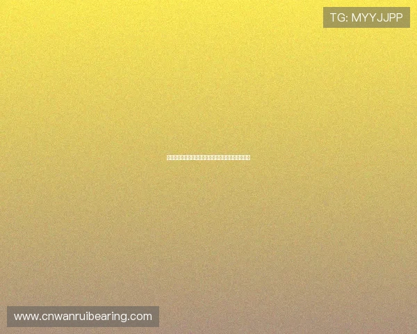 星空棋牌电脑版助力世界杯期间线上娱乐体验全面升级